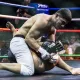Asian Fight ташкилотчилари: “Стивен Сигал стадионга келади, деб ваъда бермагандик”