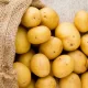 «Картошка пули» нима ва уни кимларга бериш керак?