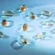 Sağlık ve güzellik anahtarı: Omega-3 yağ asitlerini seçerken nelere dikkat edilmeli?