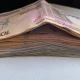 ОТМларида янги ўқув йили учун тўлов-контракт миқдорлари эълон қилинди