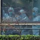 CNN: АҚШ разведкаси Ухань лабораториясидаги вируслар ҳақида маълумотларни қўлга киритди