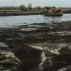 Украинлар Киев учун жангда қандай ғолиб чиққанди ва уларга қандай таклифлар бўлганди?