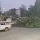 Тошкентда юз берган чанг бўрони пайтида нималар содир бўлди?