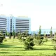Пойтахтни Тошкентдан Жиззахга кўчириш бўйича ўтказилган сўровнома натижалари