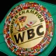WBC янгиланган рейтингида 8 нафар ўзбекистонлик боксчи жой олди