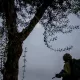 Исроил ва ҲАМАС можароси Россия-Украина урушига қандай таъсир ўтказмоқда?