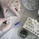 Хитойлик олимлар коронавируснинг янги тури пайдо бўлганини маълум қилди