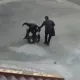 Наманганда банк раҳбари фуқарони калтаклагани тасвирланган видео тарқалди