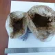 Поезд вагонига беркитилган “опий” гиёҳвандлик моддаси фош этилди