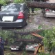 «Тошқин кент»: пойтахтдаги ёғингарчилик оқибатлари ҳақида маълумот (фото)