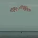 Oyga parvoz qilgan Orion fazoviy kemasi Tinch okeaniga qo‘ndi (video)