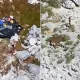 Kimsasiz orolda qolib ketgan 3 ta «Robinzon Kruzo» qutqarildi (video)