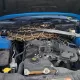 Ford Mustang kapoti ostiga kirib olgan ulkan piton (video)