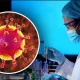 JSST koronavirus kelib chiqishini o‘rganish uchun yangi guruh tuzadi