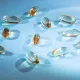 Sağlık ve güzellik anahtarı: Omega-3 yağ asitlerini seçerken nelere dikkat edilmeli?