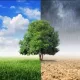 Iqlim o‘zgarishining oldini olish uchun nimalar qilish kerak?
