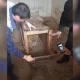 Самарқандда ушланган шер боласи Тошкент ҳайвонот боғига топширилди