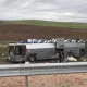 Jambulda halok bo‘lganlarning barchasi O‘zbekiston fuqarolari