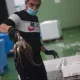 Испанияда егулик учун саккизоёқларни етиштирадиган биринчи ферма очилиши мумкин