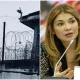 Qaytarilgani noma’lum pullar, shou-biznesning hovliqma vakillari va internetdagi shov-shuvlar