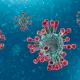 Barchasi koronavirus haqida – qisqa satrlarda