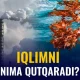 Ернинг янги «ўпка»лари – иқлимни дарахтлар эмас, сув ўтлари қутқаради