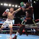 Ruslan Chagayev Isroil Madrimov va Krouford jangi borasida fikr bildirdi