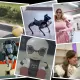 Технологиялар асри: инсониятга катта фойда келтираётган энг ғайриоддий роботлар