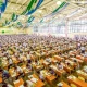 Bu yilgi test sinovlari qanday o‘tkaziladi?