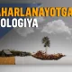 Атроф-муҳитни заҳарлаётган чекувчиларнинг зарарлари ҳақида фактлар