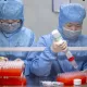 Хитойлик олимлар илгари номаълум бўлган саккизта янги вирусни аниқлашди ва улар устида тажриба ўтказишмоқчи