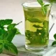 Yalpiz (lotincha: Mentha, ruscha: myata, inglizcha: mint)