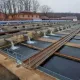 Президент балиқчилик тармоғини қўллаб-қувватлаш бўйича қарор имзолади