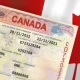 «Kanadachi» firibgarlar haqida ogohlantirish berildi