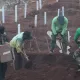 Индонезияда ниқоб тақмасдан юрган эркаклар коронавирусдан вафот этганлар учун қабр қазишга юборилмоқда