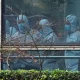 CNN: AQSH razvedkasi Uxan laboratoriyasidagi viruslar haqida ma’lumotlarni qo‘lga kiritdi