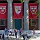 Prezident: «Harvardchilar maktabi» ochiladi, top-10 oliygohlar uchun maqsadli tayyorgarlik boshlanadi