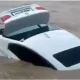 Hindistonlik o‘smir Jaguar o‘rniga sovg‘a qilingan BMW’ni daryoga cho‘ktirib yubordi (video)