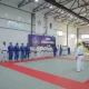Ўзбекистонда Олий спорт маҳорати институти ташкил қилинади