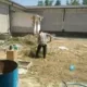 Andijonda uyida obodonlashtirish xodimlarini majburan ishlatgan prokuror ishdan olindi