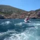 Turkiyalik qutqaruvchilar Egey dengizida 71 nafar noqonuniy muhojirni qutqarib qoldi