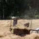 Çalışanlar için sıcak havadan korunmanın 20 yolu