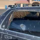 Америкада 10 дақиқага қаровсиз қолдирилган автомобиль минглаб асалариларнинг уясига айланди