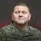 Mashhurlikda Zelenskiy bilan bellashadi. Zalujniy bunga qanday erishdi?