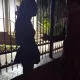 Sirdaryodagi tungi klubda “tomosha ko‘rsatgan” qizlar sud qilindi (video)