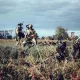 Ukraina armiyasi muammolari ekspertlar nigohida