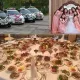 Тўйларни тартибга солиш тўғрисидаги низом эълон қилинди