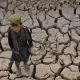 Iqlim inqirozi: butun dunyo bo‘ylab issiqlik rekordlari yangilanmoqda