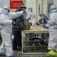 Uxandagi kasalxona hamshiralari koronavirusdan davolanayotgan bemorlar uchun ommaviy raqs uyushtirdi (video)