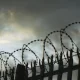 Эксперт фикри: Ўзбекистонда ўлим жазосини тиклаш керакми?